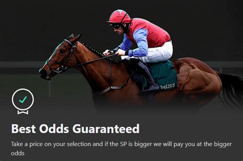 bet365 horse racing today|bet365 sign in uk.